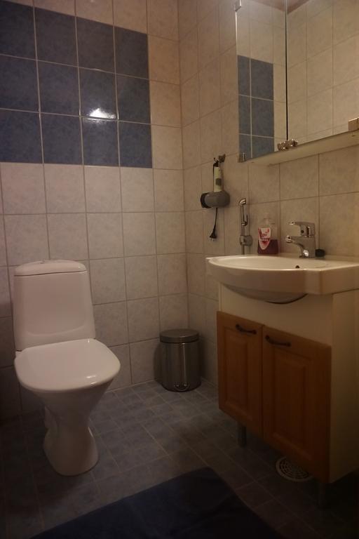 婉哈帕皮菈小屋式酒店 Simoniemi 外观 照片