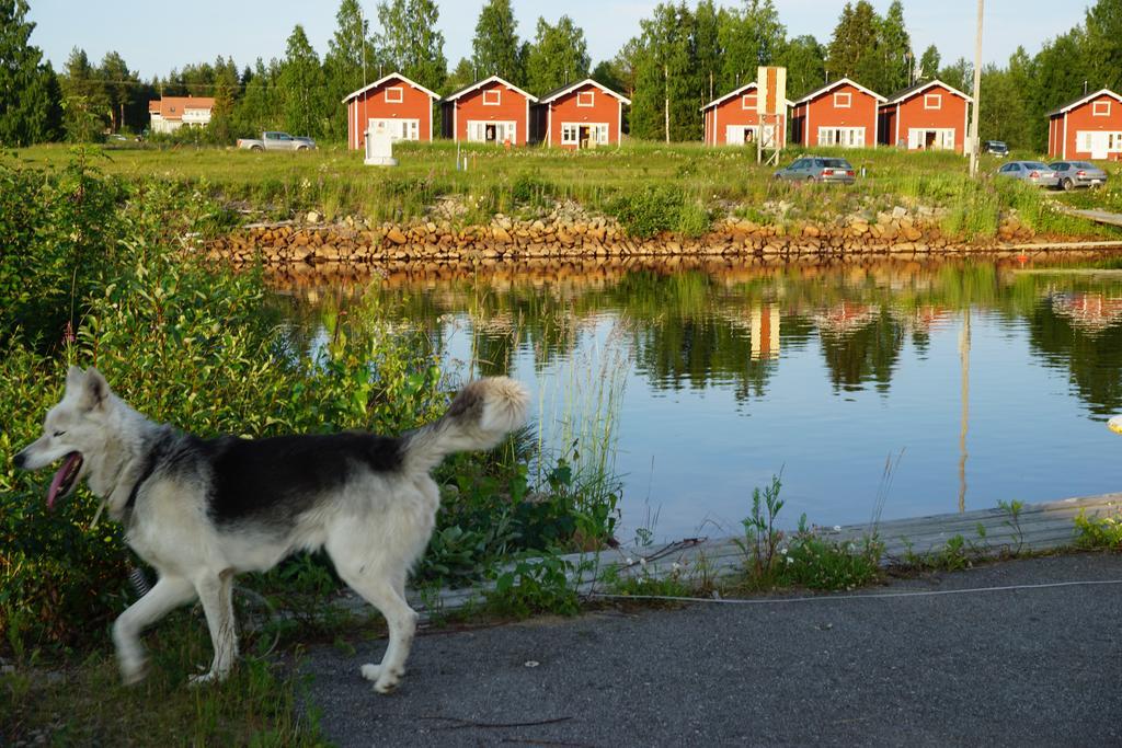 婉哈帕皮菈小屋式酒店 Simoniemi 外观 照片